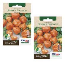 2x Sementes De Pimenta Habanero Orange Vasos Jardins Hortas 2x Sementes De Pimenta Habanero Orange Vasos Jardins Hortas