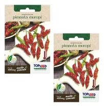 2x Sementes De Pimenta Murupi Da Amazônia Saborosa Vigorosa 2x Sementes De Pimenta Murupi Da Amazônia Saborosa Vigorosa