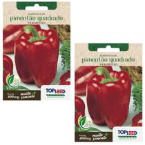 2X Sementes de Pimentão Quadrado Vermelho TOPSEED 2X Sementes de Pimentão Quadrado Vermelho TOPSEED