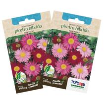 2X Sementes de Piretro Hibrido (Sortida) TOPSEED 2X Sementes de Piretro Hibrido (Sortida) TOPSEED