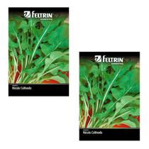 2X Sementes de Rúcula Cultivada FELTRIN