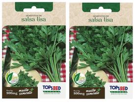 2X Sementes De Salsa Lisa TOPSEED