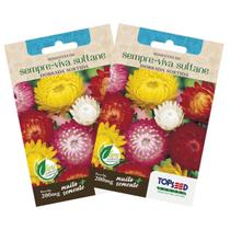 2X Sementes de Sempre-Viva Sultane Dobrada (Sortida) TOPSEED 2X Sementes de Sempre-Viva Sultane Dobrada (Sortida) TOPSEED