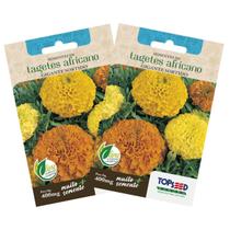 2X Sementes de Tagetes Africano Gigante (Sortida) TOPSEED 2X Sementes de Tagetes Africano Gigante (Sortida) TOPSEED