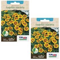 2X Sementes de Tagetes Marieta Anão Cravo Francês TOPSEED 2X Sementes de Tagetes Marieta Anão Cravo Francês TOPSEED