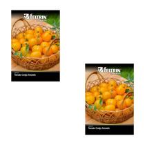 2X Sementes de Tomate Cereja Amarelo Yashi FELTRIN 2X Sementes de Tomate Cereja Amarelo Yashi FELTRIN