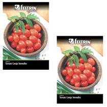 2X Sementes de Tomate Cereja Carolina FELTRIN 2X Sementes de Tomate Cereja Carolina FELTRIN