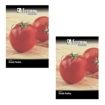 2X Sementes de Tomate Paulista Santa Clara FELTRIN