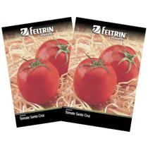 2X Sementes de Tomate Santa Cruz Kada Gigante FELTRIN
