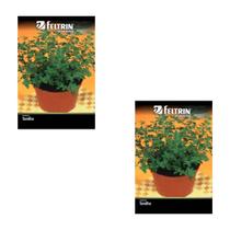 2X Sementes de Tomilho/Timo FELTRIN