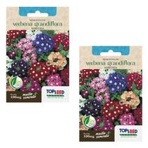 2X Sementes de Verbena Grandiflora Sortida TOPSEED 2X Sementes de Verbena Grandiflora Sortida TOPSEED