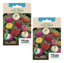 2x Sementes De Zinia Liliput Sortida Para Vasos Mudas Jardim 2x Sementes De Zinia Liliput Sortida Para Vasos Mudas Jardim