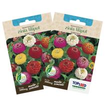 2X Sementes de Zinia Liliput (Sortida) TOPSEED 2X Sementes de Zinia Liliput (Sortida) TOPSEED