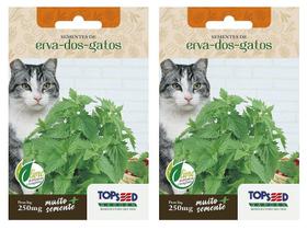 2X Sementes Erva Dos Gatos (Nepeta Cataria) Catnip TOPSEED