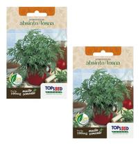2x Sementes Erva Losna Absinto Artemisia Para Cha Horta Muda