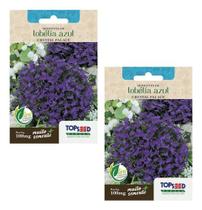 2x Sementes Flor Lobélia Azul Atrai Abelhas Jataí Para Vasos