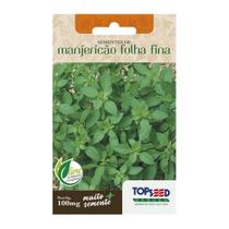 2X Sementes Manjericão Basil Basilicão (Folha Fina) TOPSEED