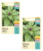 2X Sementes Manjericão Cannella Isla 2X Sementes Manjericão Cannella Isla