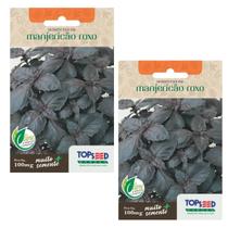 2X Sementes Manjericão Roxo (Basilicão) TOPSEED 2X Sementes Manjericão Roxo (Basilicão) TOPSEED