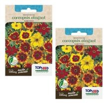 2x Sementes Margarida De Tingir Coreopsis Tinctoria Flor Pan 2x Sementes Margarida De Tingir Coreopsis Tinctoria Flor Pan