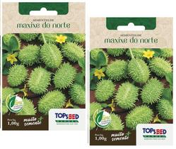 2X Sementes Maxixe Do Norte TOPSEED