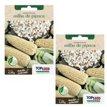 2X Sementes Milho de Pipoca TOPSEED