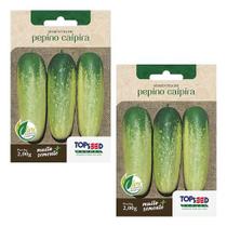 2x Sementes Pepino Caipira Para Mudas Hortas Alta Germinação