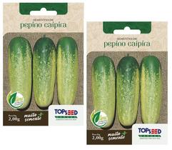 2X Sementes Pepino Caipira TOPSEED