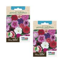 2X Sementes Petúnia Multiflora Anã (Sortida) TOPSEED
