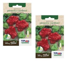 2x Sementes Pimenta Chapéu De Bispo Cambucí Alta Germinação 2x Sementes Pimenta Chapéu De Bispo Cambucí Alta Germinação