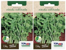 2X Sementes Rúcula Cultivada TOPSEED