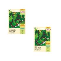 2X Sementes Salsa Graúda Portuguesa Isla 2X Sementes Salsa Graúda Portuguesa Isla