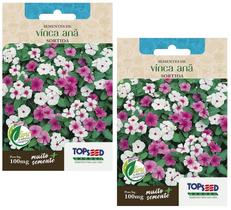 2X Sementes Vinca Anã Sortida TOPSEED 2X Sementes Vinca Anã Sortida TOPSEED