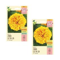 2X Sementes Zinnia Luz da Lua ISLA