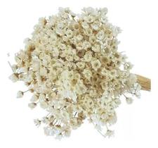 2X Sempre Viva Florzinha Branca I Flores Desidratadas