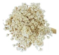 2X Sempre Viva Florzinha Branca I Flores Desidratadas