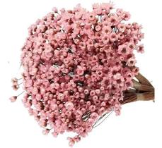 2X Sempre Viva Florzinha Cor De Rosa I Flores Desidratadas