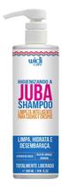 2X Shampoo Higienizando Widi Care A Juba 500Ml Limpeza Intel