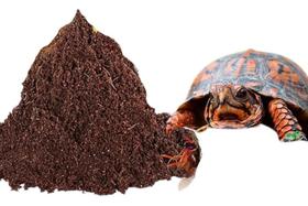 2X Substrato Fibra Pó De Coco Para Répteis Jabuti Aranhas 5L 2X Substrato Fibra Pó De Coco Para Répteis Jabuti Aranhas 5L