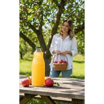 2x Suco Integral Maçã 1L: Sabor Natural Puro e Refrescante 2x Suco Integral Maçã 1L: Sabor Natural Puro e Refrescante