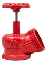 2X Válvula Globo Angular Pn16 2.1/2 X 45 Graus Segurimax