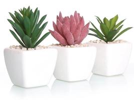 2X Vasinho Decorativo E Mini Suculentas Artificiais Kit Com