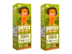 2x Zintrix Zinco 2mg Por Gota 20ml - Flora Nativa do Brasil