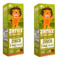 2x Zintrix Zinco Em Gotas Baby & Kids 2mg Por Gota 20ml