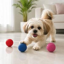 3 Bolinhas 5cm Brinquedo Interativo Para Cães Cores Sortidas 3 Bolinhas 5cm Brinquedo Interativo Para Cães Cores Sortidas
