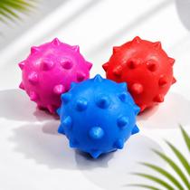 3 Bolinhas Cravo Maciças Para Cães 5cm Pet Coloridas Sortida 3 Bolinhas Cravo Maciças Para Cães 5cm Pet Coloridas Sortida