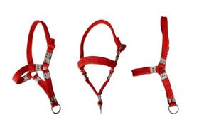 3 Cabrestos De Fita De Nylon Para Caprinos Ovinos E Bezerros 3 Cabrestos De Fita De Nylon Para Caprinos Ovinos E Bezerros