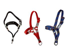3 Cabrestos Nylon Trançado De Caprinos Ovinos Bezerros Azul Preto Vermelho 3 Cabrestos Nylon Trançado De Caprinos Ovinos Bezerros Azul Preto Vermelho