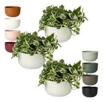 3 Cachepot Cuia Pote N 6 Vaso Raiz Due 21 14x24cm Folhagem 3 Cachepot Cuia Pote N 6 Vaso Raiz Due 21 14x24cm Folhagem