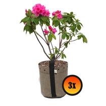 3 Cachepot Vaso de Plantas 7 Litros de Tela Decoração Cultivo 3 Cachepot Vaso de Plantas 7 Litros de Tela Decoração Cultivo